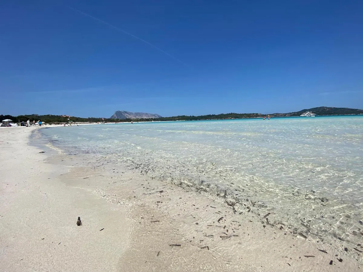 Vista Sul Mare E Tavolara Budoniaffitti Porto San Paolo  Semesterbostad Porto San Paolo (Sardinia)